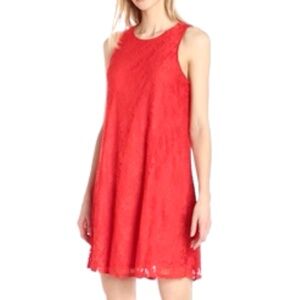 Sharagano Sleeveless Lace Trapeze Dress